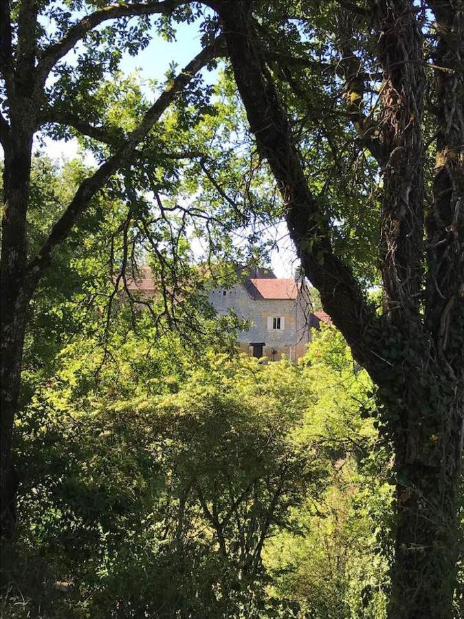 Chambre D'Hotes Lasserre Saint-Amand-de-Coly エクステリア 写真
